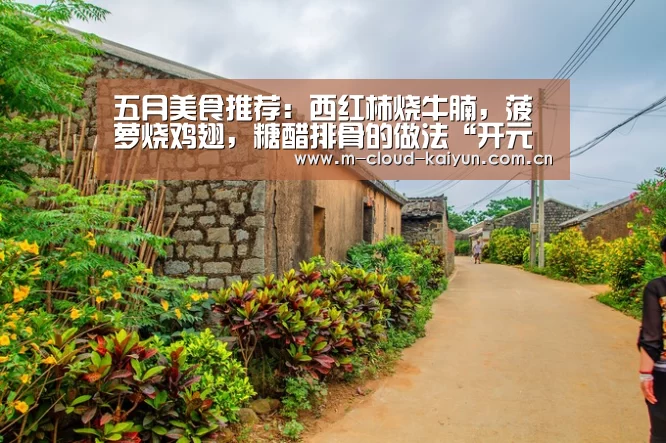 五月美食推荐:西红柿烧牛腩,菠萝烧鸡翅,糖醋排骨的做法“开元体育”(图2) 开云体育官网