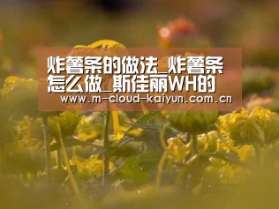 炸薯条的做法_炸薯条怎么做_斯佳丽WH的菜谱‘开元体育’(图1) 开元体育