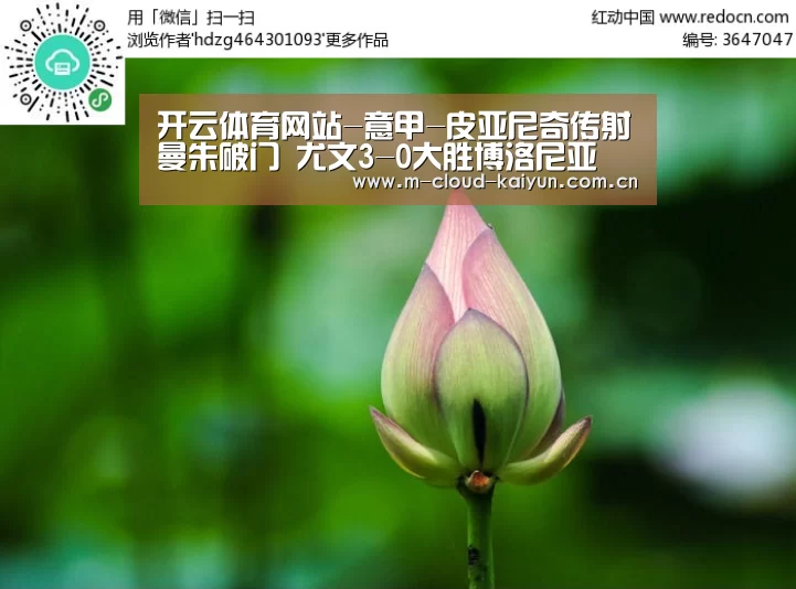 开云体育网站-意甲-皮亚尼奇传射曼朱破门 尤文3-0大胜博洛尼亚(图4) 开云体育官网