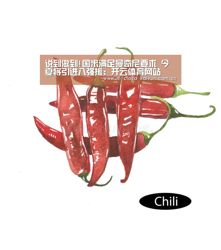 说到做到!国米满足曼奇尼要求 今夏将引进八强援:开云体育网站(图2) kaiyuan sports