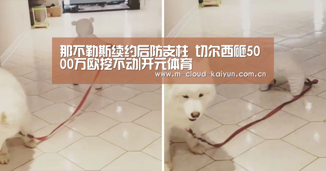 开云体育官网