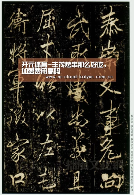开云体育网站