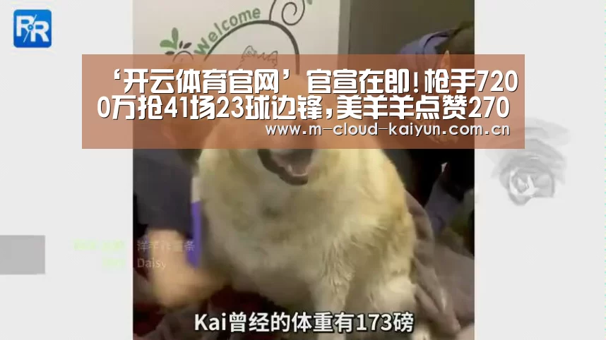 ‘开云体育官网’官宣在即!枪手7200万抢41场23球边锋,美羊羊点赞2700万甩卖坑王(图2) 开云体育网站