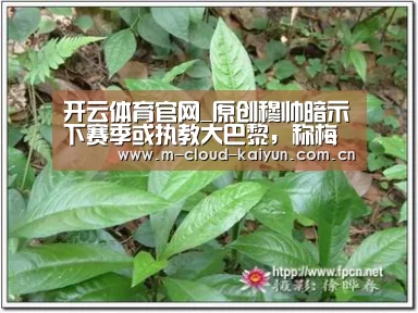 开云体育官网_原创穆帅暗示下赛季或执教大巴黎,称梅西、C罗退役后姆巴佩将顶上去(图1) 开元体育